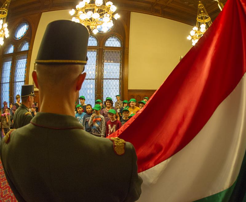 IN3_2508 Fáth Péter